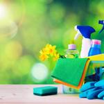 Cap City Maid - photo 7