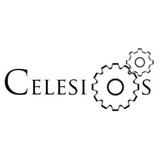 Celesios - Management Consultants in Gainesville