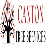 Canton Tree Services - Tree Services in Canton