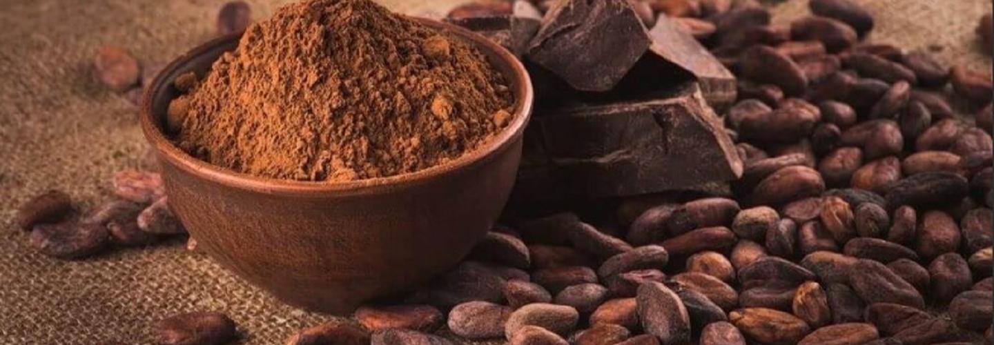 Nusantaracocoa cover photo