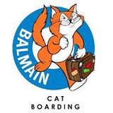 Balmain Cat Boarding - Pet Day Care in Sydney