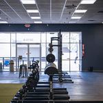 Performance Arc - photo 9