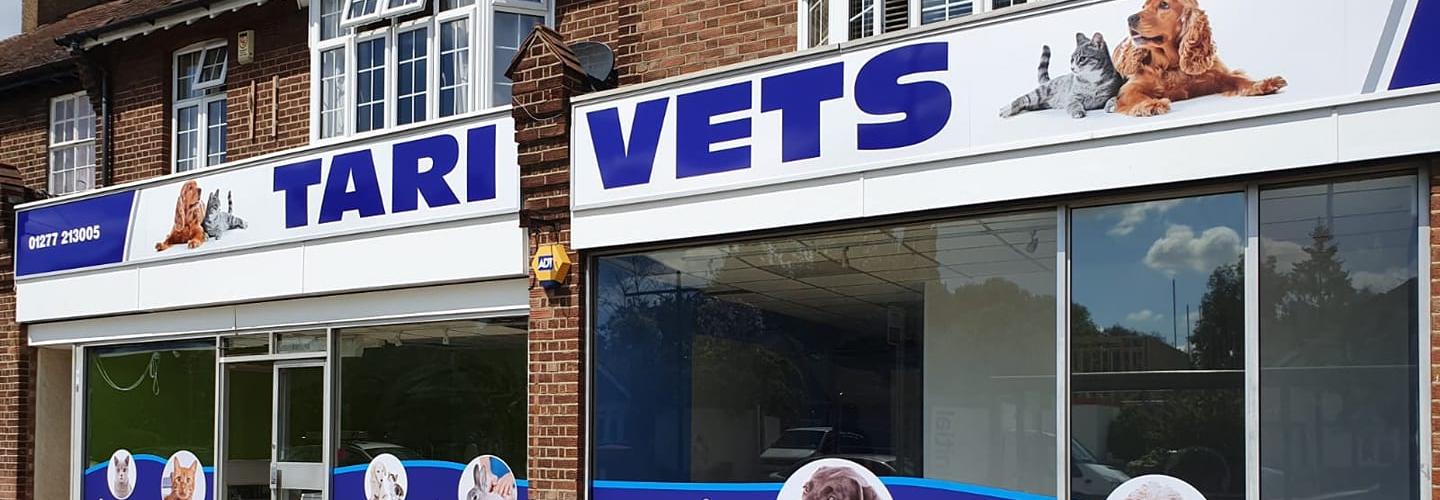 Tari Vets cover photo