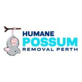Humane Possum Removal Perth