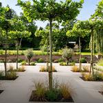 Elitescapes - photo 1