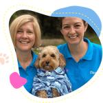 Lets Pawty - photo 3