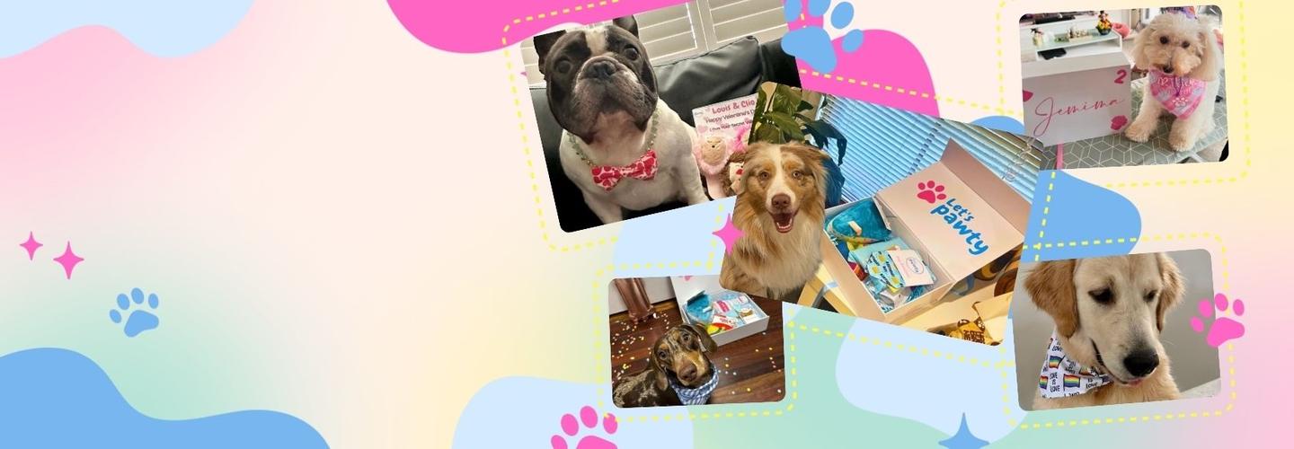 Lets Pawty cover photo