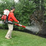 Mosquito Shield of Dayton - Health & Medical in Fairborn