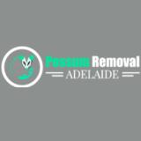 Possum Removal Adelaide - Pest Control in Adelaide