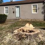 Wigginton Tree Service - photo 3