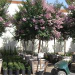 Garden View Nursery - photo 1