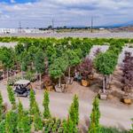 Garden View Nursery - photo 3