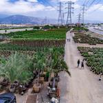 Garden View Nursery - photo 4