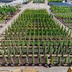 Garden View Nursery - photo 5