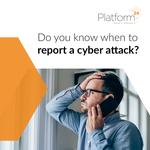 Platform24 - photo 3