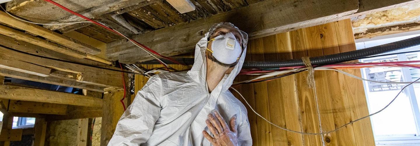 Pure Maintenance Mold Remediation - Daytona Beach cover photo