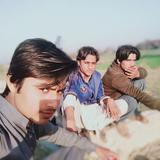 Marmita industrial - Food in Cologne