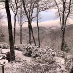 Elkridgecottages - photo 6