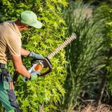 Wilkes Barre PA Tree Service - Tree Services in Wilkes-Barre