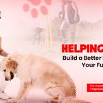 The Paw Daddy - photo 1