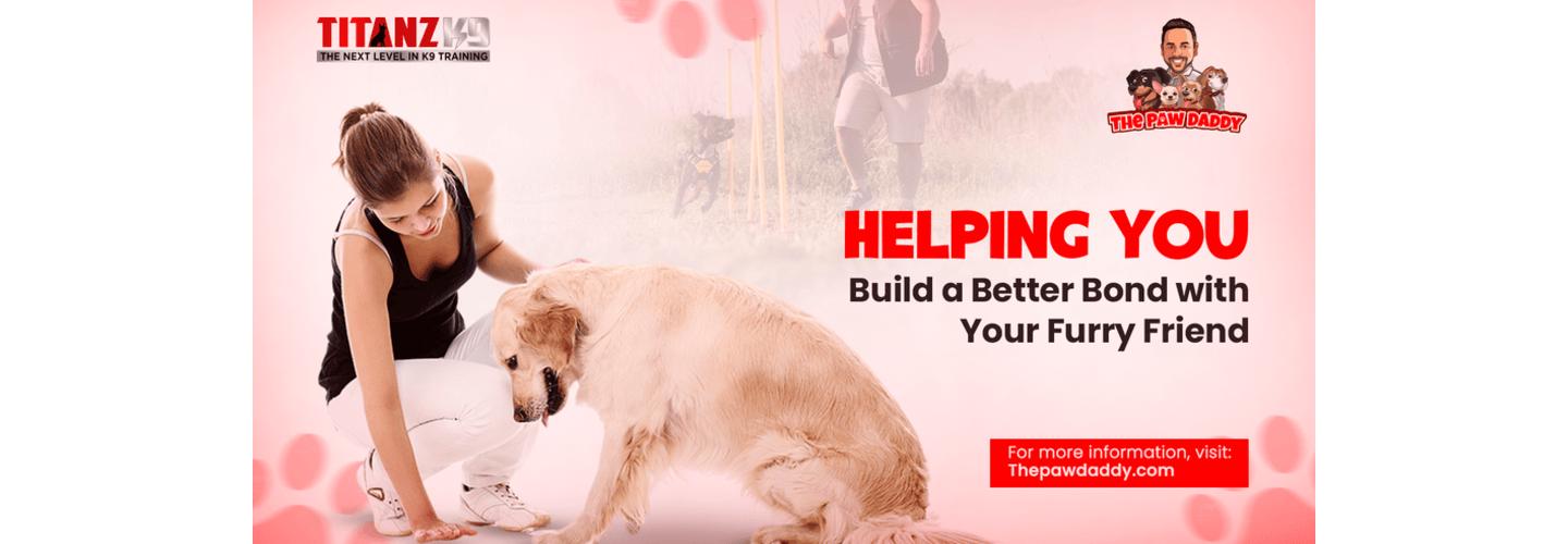 The Paw Daddy cover photo