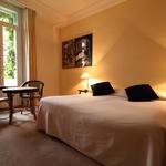 Le Windsor Jungle Art Hotel - photo 3