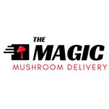 The Magic Mushroom Delivery - Food Delivery Services in Orange