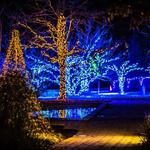 Heffernan's Christmas Light Installation - photo 1