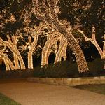 Heffernan's Christmas Light Installation - photo 5