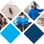 Pest Authority Ellijay GA - photo 1