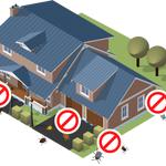 Pest Authority Ellijay GA - photo 3