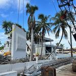 Kind Designs Living Seawalls - photo 3