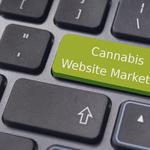 Cannabis Website Marketing - photo 3