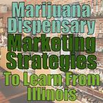Cannabis Website Marketing - photo 5