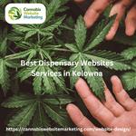 Cannabis Website Marketing - photo 7