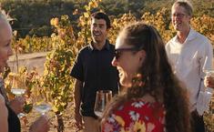 The Journey Margaret River - Wine Tours