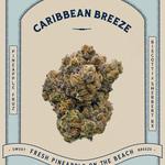 Victoria Cannabis Company - photo 3