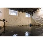 Scientific Restoration Specialists - Acton CA  - photo 1