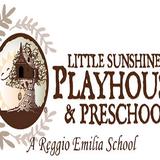 Little Sunshine's Playhouse & Preschool of Hendersonville - Child Care & Day Care in Hendersonville