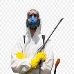 Tinting Solutions - photo 2