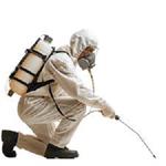 Tinting Solutions - photo 3