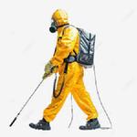 Tinting Solutions - photo 4