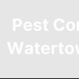 Pest Control Watertown NY - Pest Control in Watertown