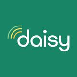 Daisy  - Home Automation in Los Gatos