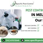 Specific Pest Control - photo 1