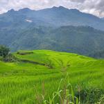 SaPa Weather Trekking Tour - photo 1