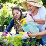 Greenwood Place - photo 2