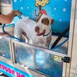 Car Lovers Express Carwash - photo 1