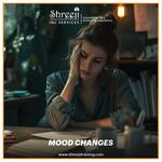 Shreeji Training - photo 4