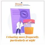 Shreeji Training - photo 8